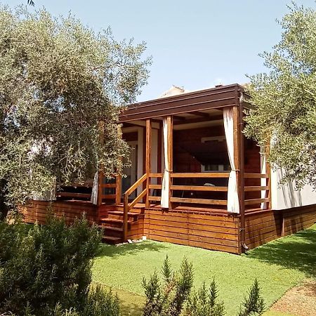 Mobile Homes Olive And Sea Bibinje Exterior foto